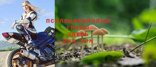 метадон Медвежьегорск