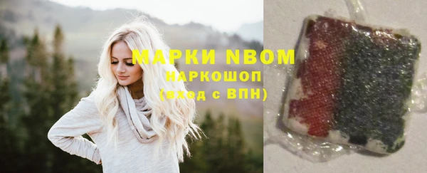 молекула духа Медногорск