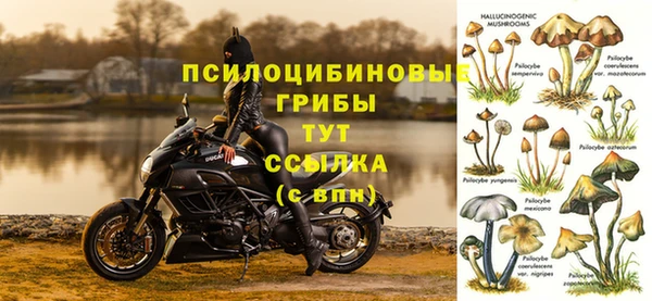 МДМА Мегион