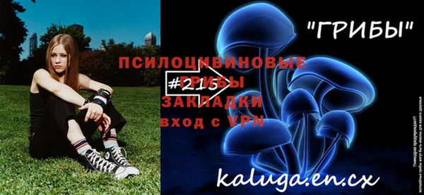 молекула духа Медногорск