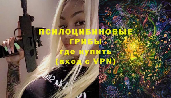 молекула духа Медногорск